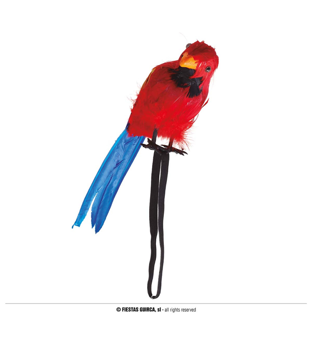 Vállra telepedő papagáj