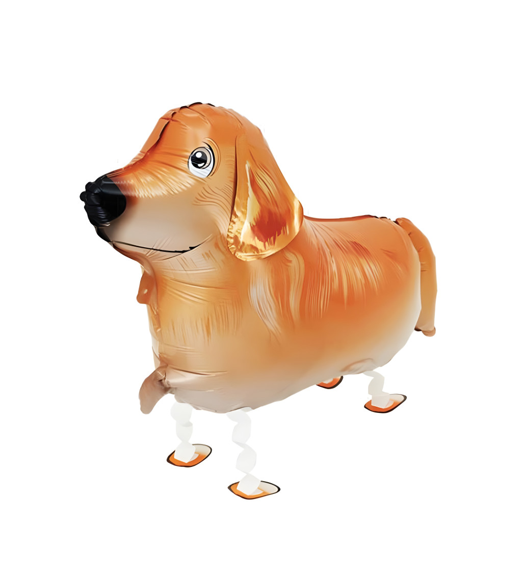 Sétáló léggömb - Golden Retriever