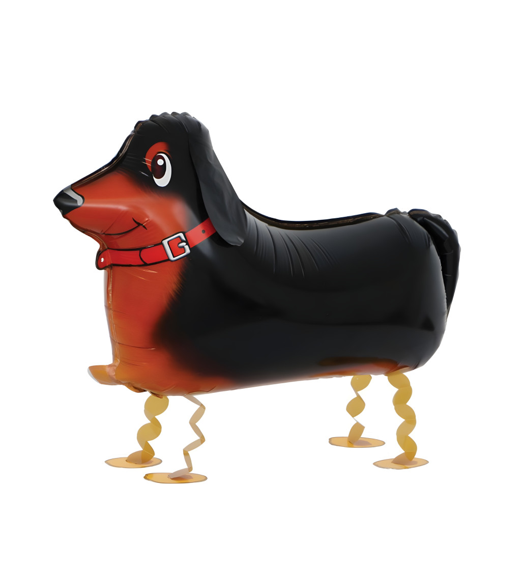 Sétáló léggömb - tacskó