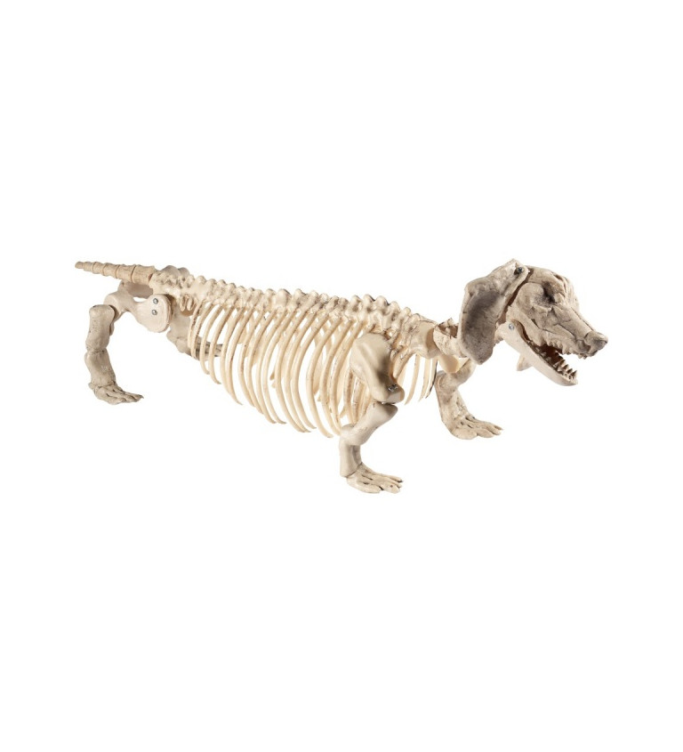 Dekoratív kutya csontváz