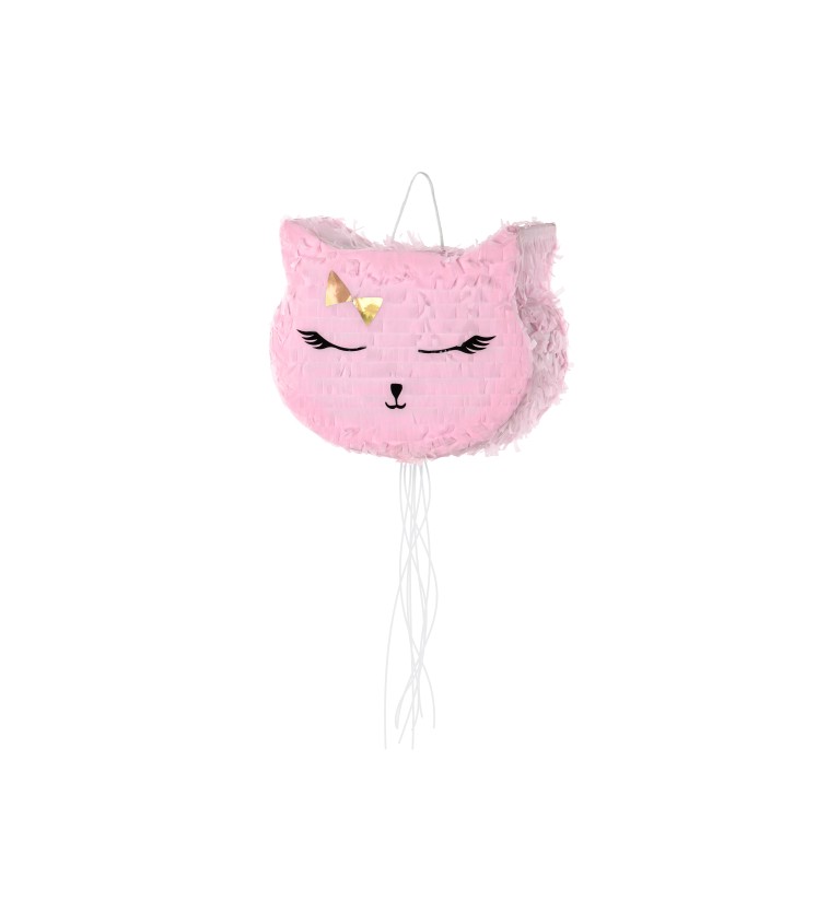 Pinata Cat