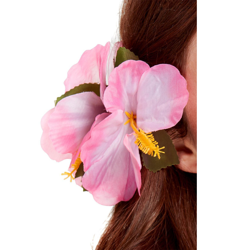 Hawaii haj virág rózsaszín